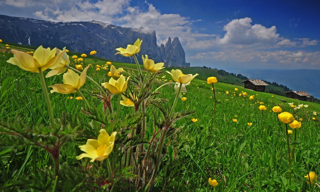 Garni Alpin Hotel Siusi Exterior photo
