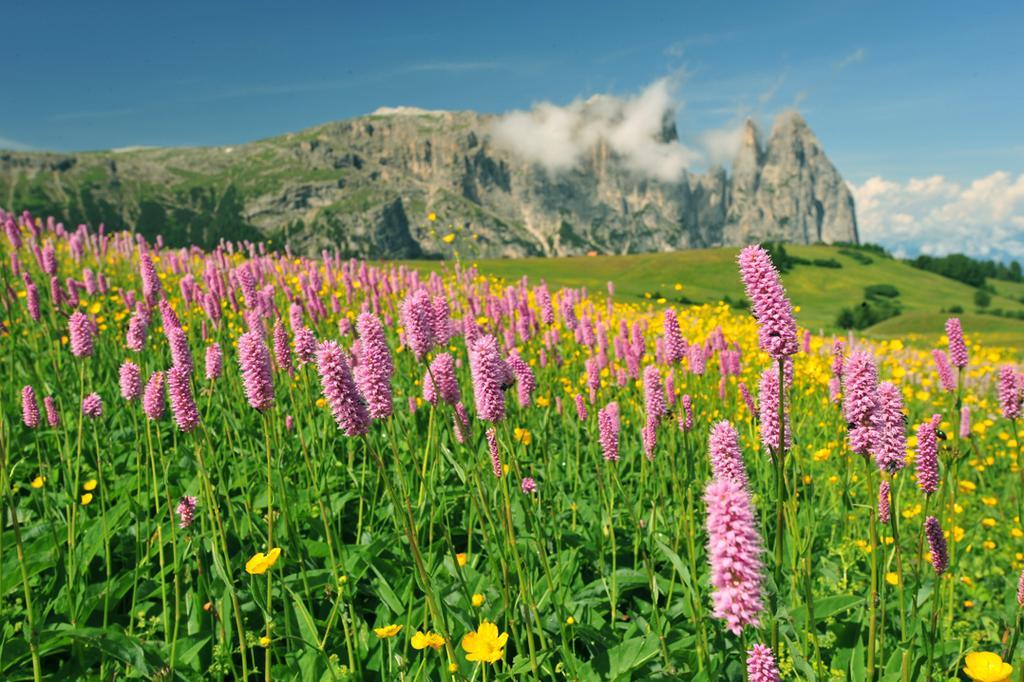 Garni Alpin Hotel Siusi Exterior photo